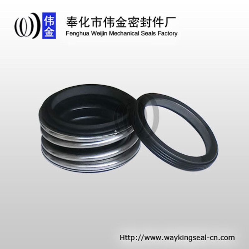 揭秘机械密封新技术：博格曼密封在行业的应用与创新